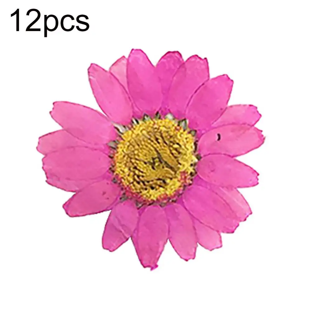 Natural Flower Epoxy Resin 12Pcs DIY Pressed Dried Nail Craft Phone Decoration