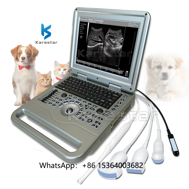 

Hot Sale Portable Veterinary Instrument Cheap Price Ecografo Animal-friendly Portable Ultrasound Scanner
