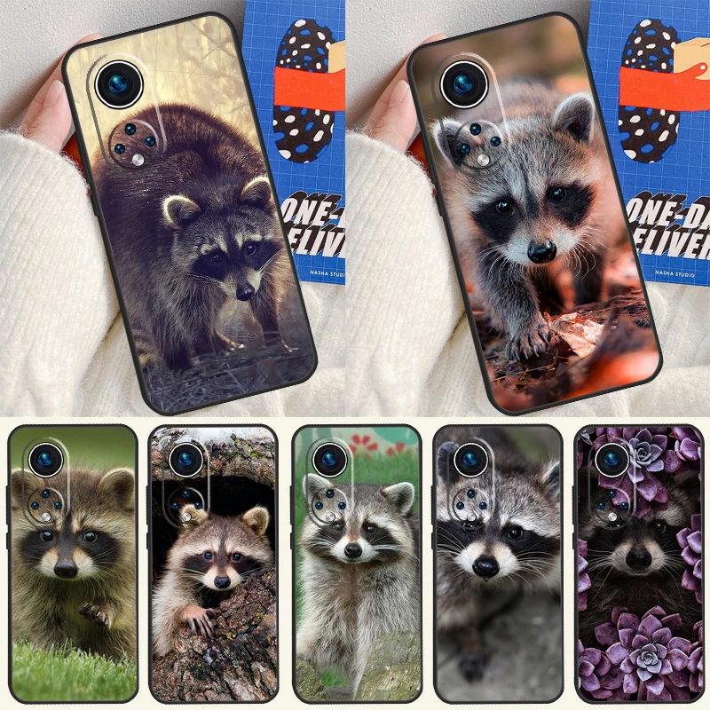Raccoon Case For Ho…