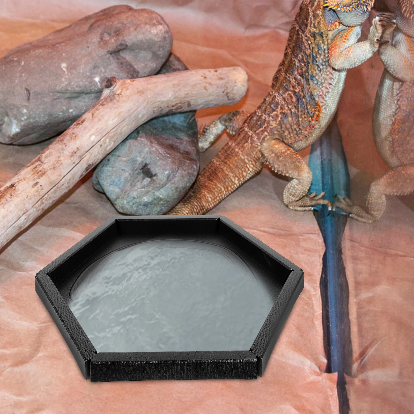 

3Pcs Reptile Food Dish Safe Plastic Material No Spill Design for Small Animals Lizards Tortoise Feeding Supplies