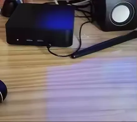 실물 포토 리뷰