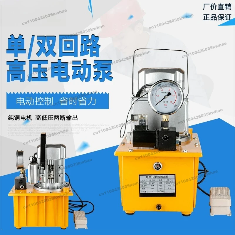 For Ultra-high Pressure Hydraulic Pump 220V Voltage Small Double Circuit Solenoid Valve Foot Pump Hydraulic Press Electric