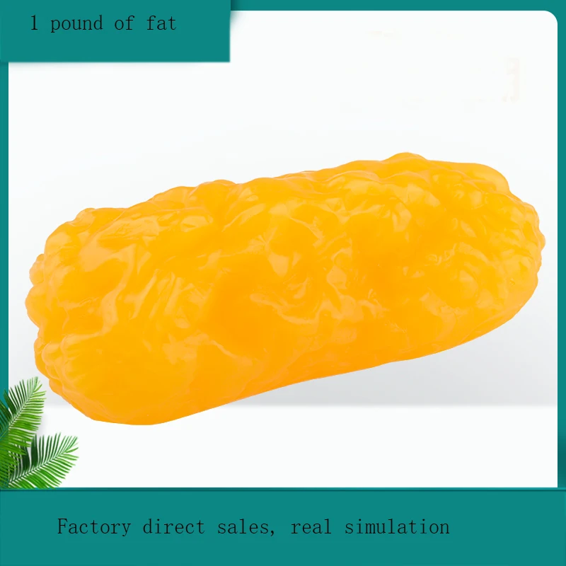 Ensino médico de silicone humano, modelo de gordura de uma libra, estrutura de gordura do corpo humano, simulação de exercício de tecido, auxiliares de ensino