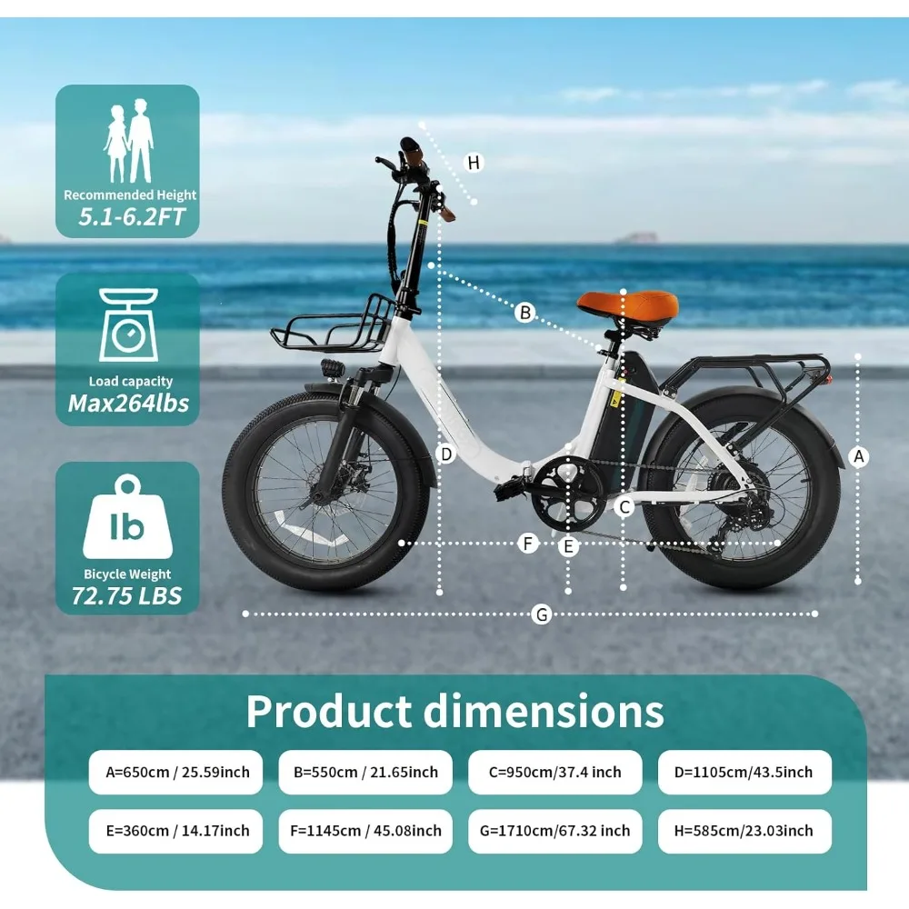 Electric Bike for Adults, 20