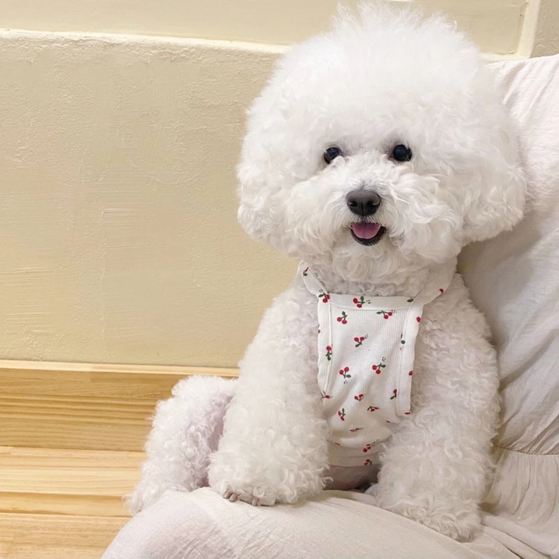 Korean Version of Cherry Puppy Suspenders Breathable Pet Vest Summer Fruit Clothes Teddy Cool Open Shirt Fashion Dog Clothes
