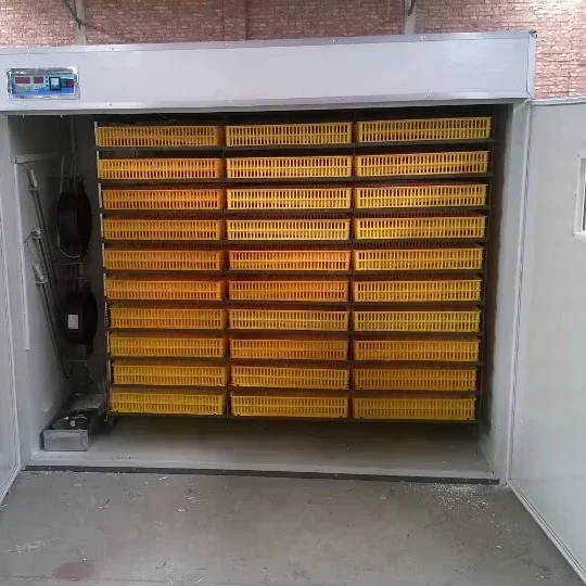 

Factory direct selling automatic chicken/ goose/duck/quail solar egg incubator and hatching machine