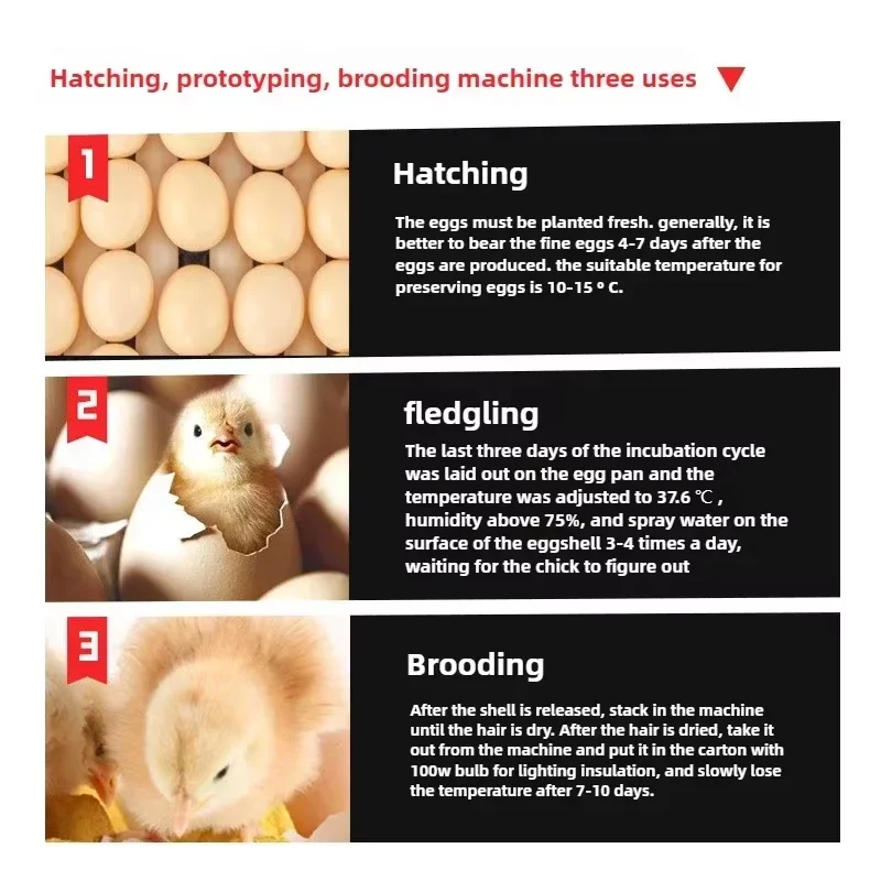 Thumbnail 2 - #18 Compare Automatic Livestock Feeders Before You Buy