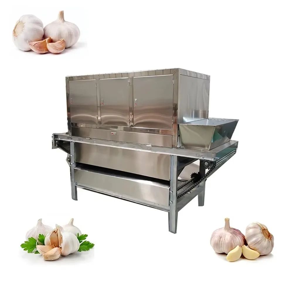 Commercial 1000KG/H Dry Garlic Peeling Machine Automatic Garlic Processing Peeler High Capacity Efficient for Food