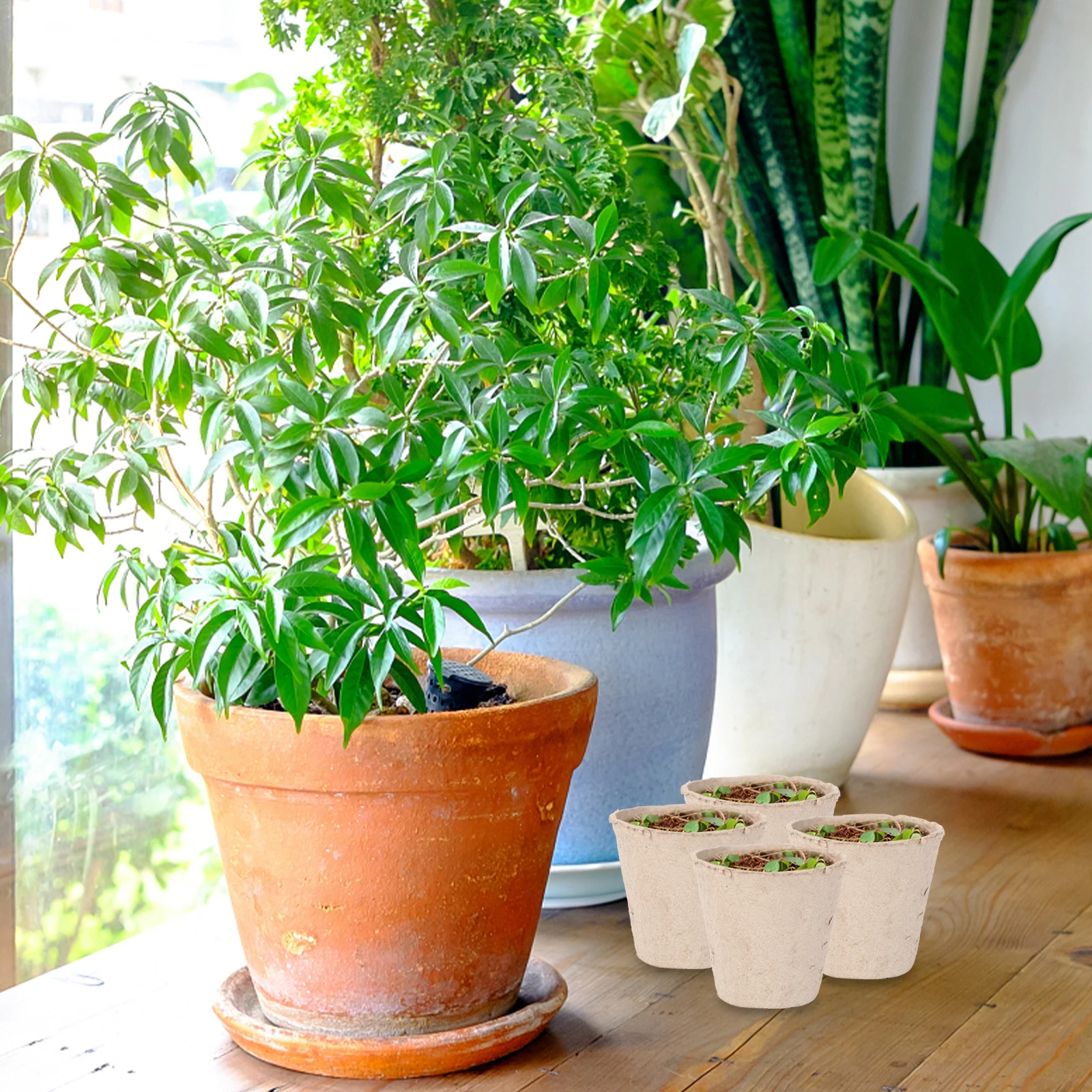 

50 Pcs Biodegradable Nursery Cups Paper Pulp Seedling Pots Garden Supplies Eco Friendly Planting Containers Organic for Flowers
