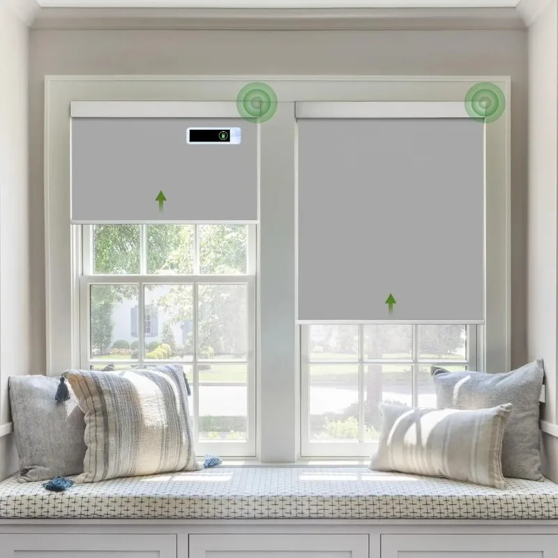Smart Roller Blinds with Remote Control /Matter/Zigbee/Bluetooth  Motor Optional Motorized Blinds for Window