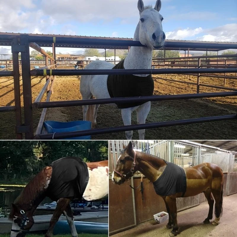 غطاء حماية لكتف الحصان خفيف الوزن وغطاء حماية لصدر الحصان AntiRub Bib 4XBB #5