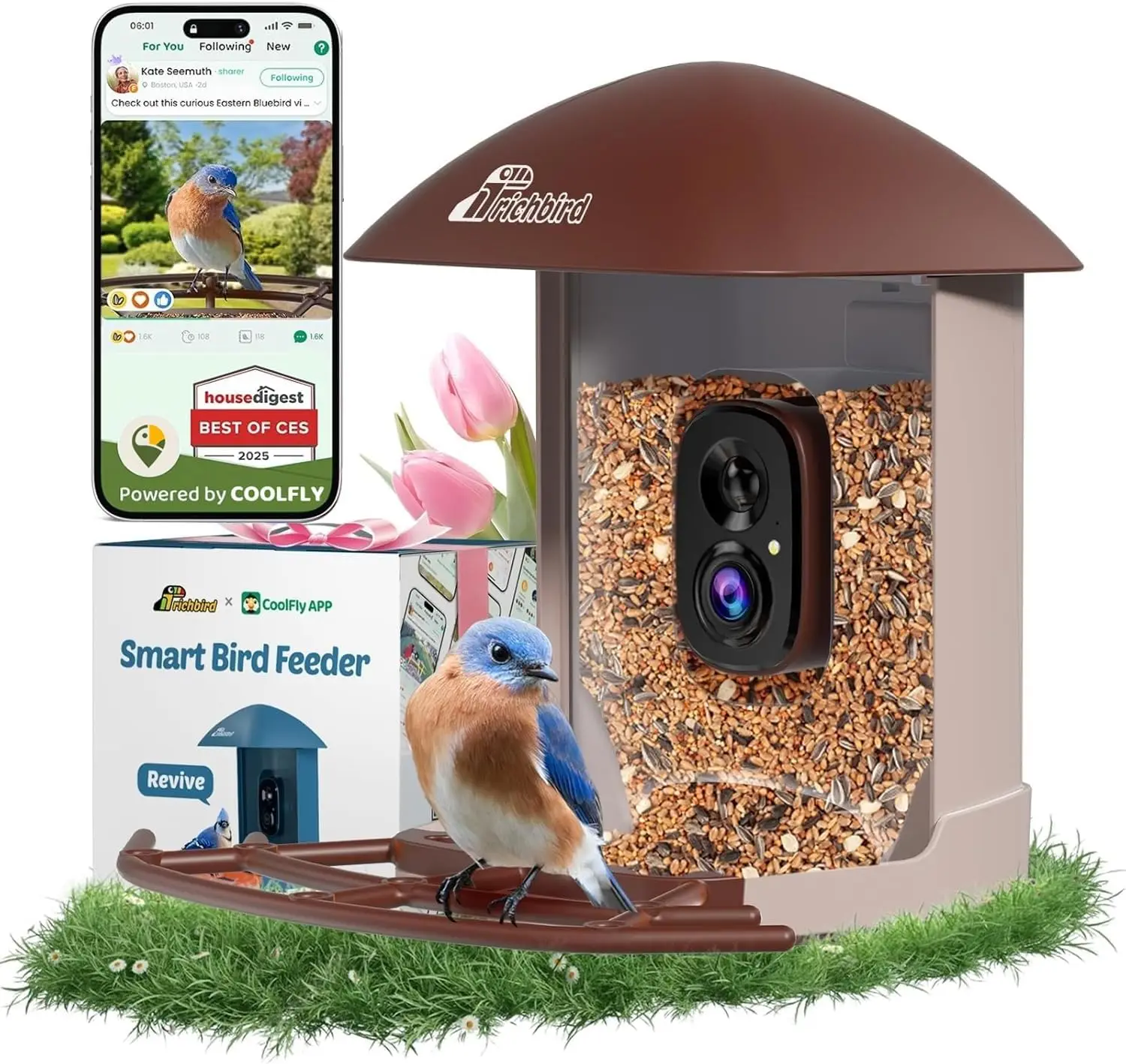 Solar Bird Feeder Camera 2.5K HD, AI Bird Recognition, Auto Capture, No Subscription