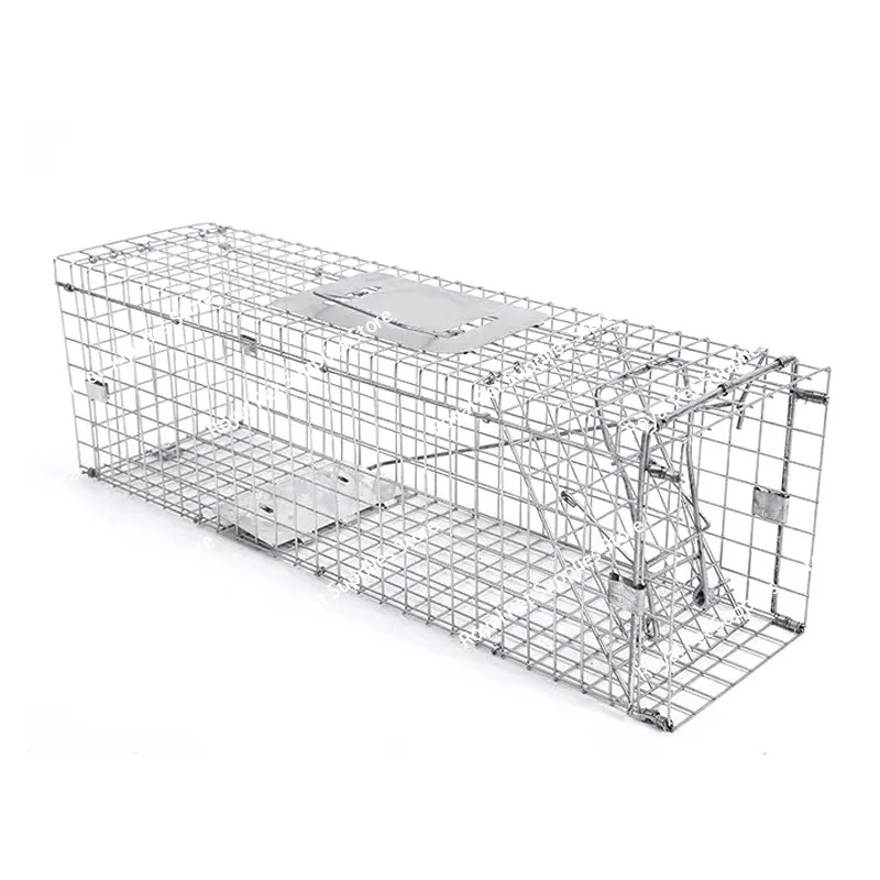Thumbnail 3 - #7 Latest Bird Cages Updates