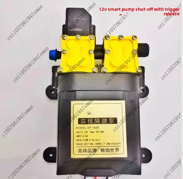 Accessories Dual-Core Water Pump 12V Diaphragm Pump High Power Auto-Stop Bottle Washer Electric Water Suction Car Wash Motor
