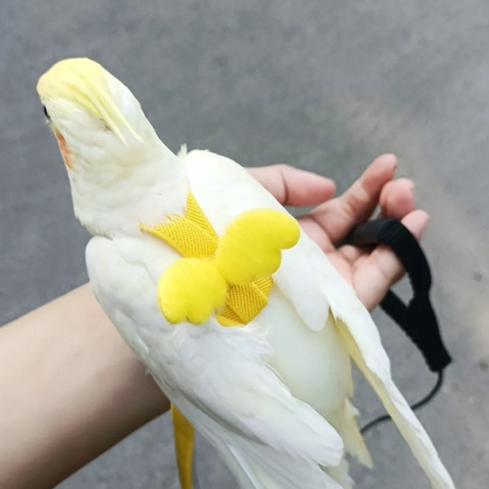 Uzun Kablo Kuş Koşum Tasma Anti-Isırık Eğitim Halat Dekoratif Hafif Parakeet Papağan Yelek Halat Sultan Papağanı Küçük Kuşlar
