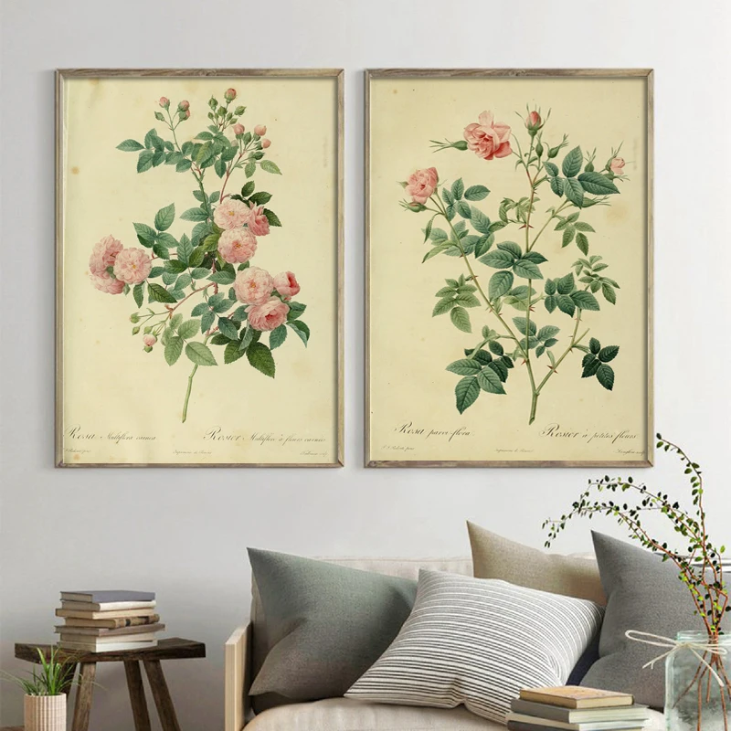 Antique Plants Illustrations Canvas Posters Vintage Botanical Prints Office Studies Decor Wall Art Pictures Rose Flower Paint
