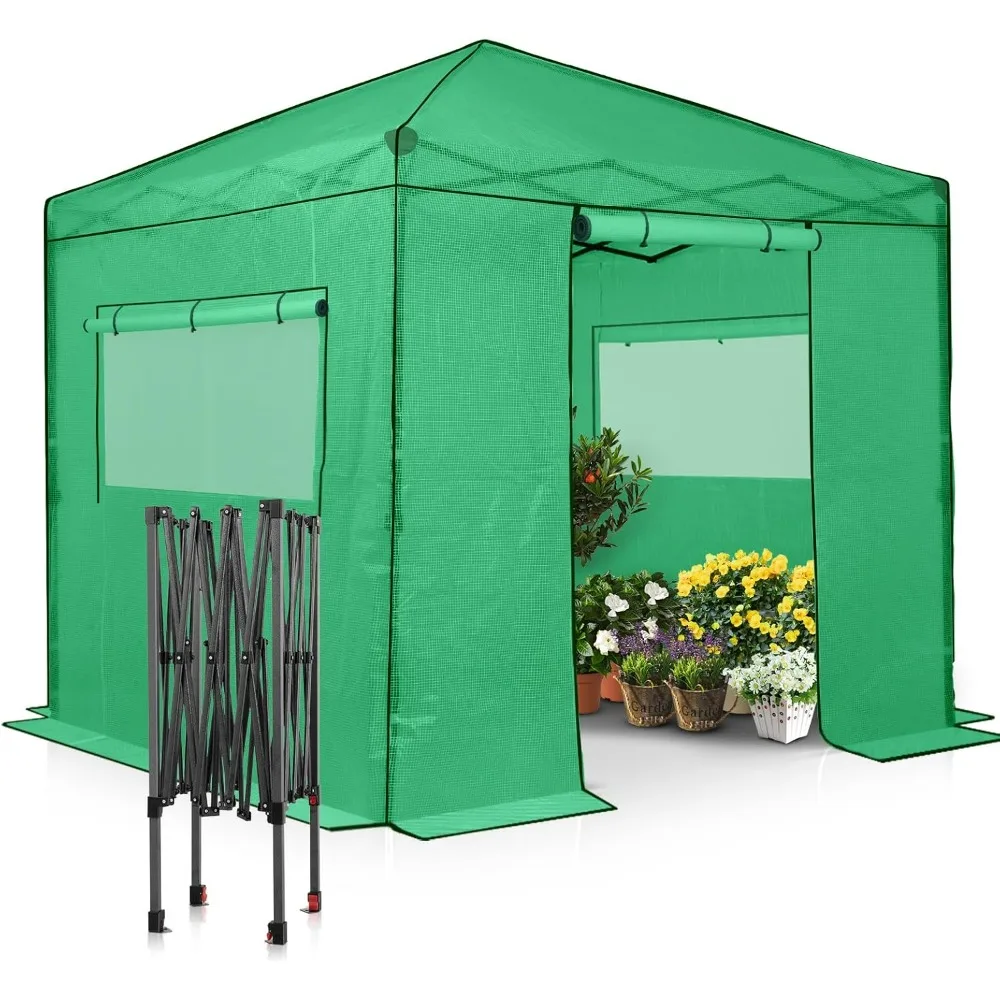 Instant Pop-up Greenhouse, Indoor Outdoor Plant Gardening Green House, Roll-Up Zipper Doors and Side Windows, Walk in 8x8 ft