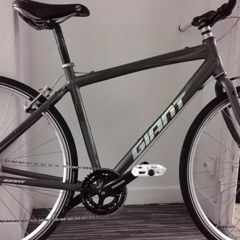 "Holographic Giant"…