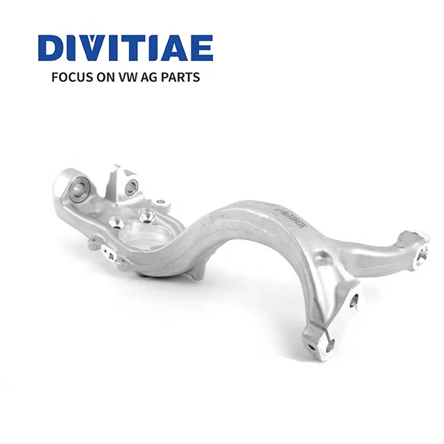 4F0407253G 4F0 407 253 H 4F0407254G 4F0 407 254 H Automotive Steering Knuckle For Audi A6 C6 4f S6