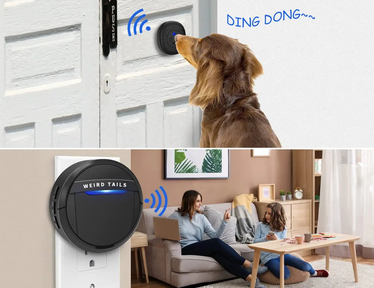 Wireless Doorbell Dog Potty Training Bell IP55 Waterproof 950ft 55 Melodies 5 Volume LED 1 Receiver 2 Transmitters, Customized