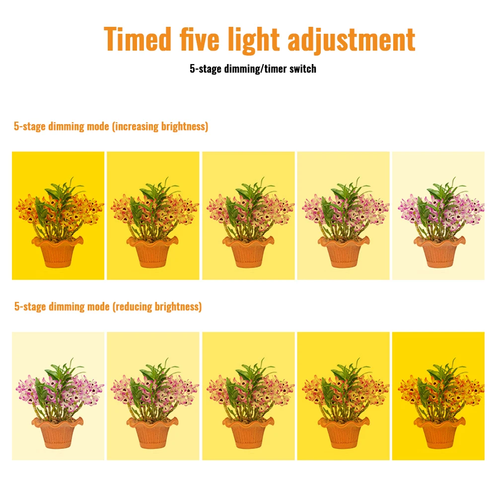 Grow Light Full Spectrum LED Plant Growing Lamp With Automatic Timer 8H/12H/16H 5 Levels Dimmable Brightness For Succulent