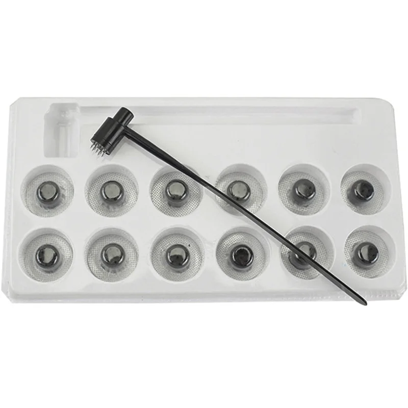 AEE2-Home 7 Star Needle & Plum Blossom Dermal Hammer Seven Star Needle Set (1BOX (12PCS))