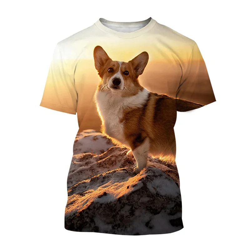 Fashion Welsh Corgi Dog 3D Printed T Shirt For Men Cute Puppy Animal Short-Sleeved Tees Harajuku Streetwear Tops T-Shirt Clothes