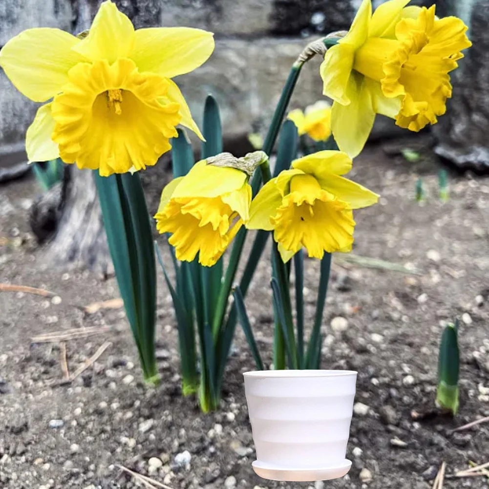 Multicolored Imitation Flower Pots with Drainage Tray for Clean Plant Care Perfect for Living Room and Balcony