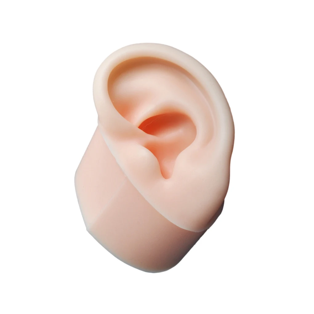 Soft Silicone Ear Model Fake Ear learning Tools Delicate Texture  Left