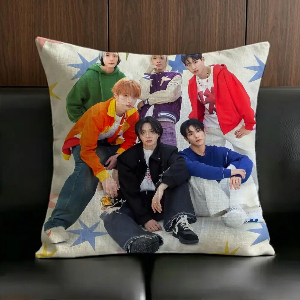 Pop Singer P-P1-Harmony Cushion Cover Anti-dustmite Pillowcase Invisible zipper silky short plush Sofa cushion cover