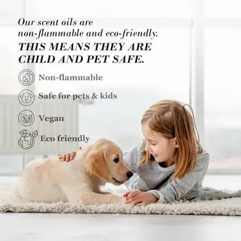 10 最佳銷售 桑塔爾 - №3