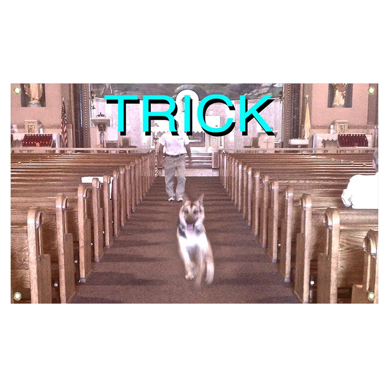 Alex G Trick album cover flag 3x5fts 2x3fts wall art poster, indoor and outdoor decoration, selected gifts