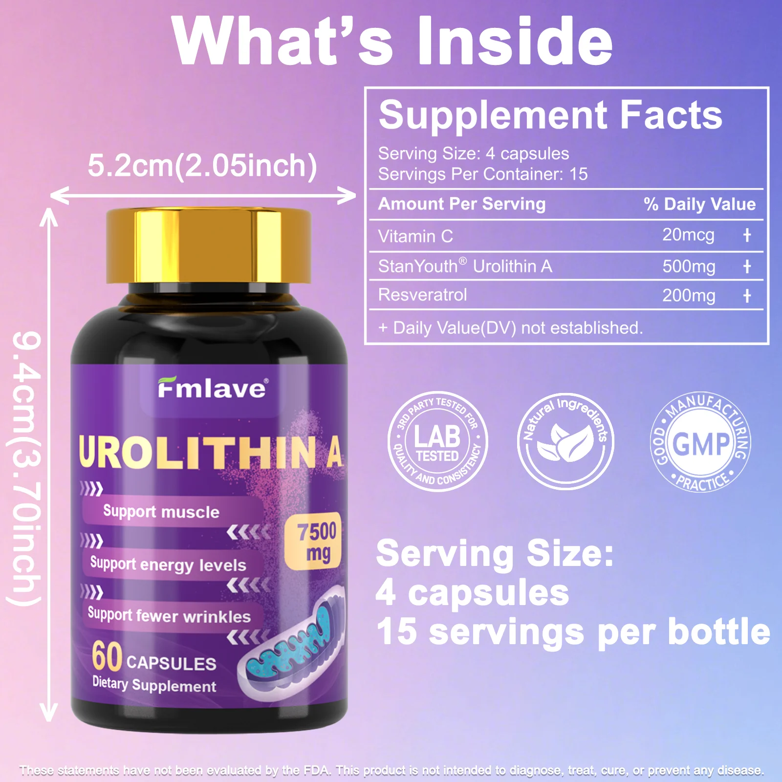 Fmlave Urolithin A Supplement with Trans-Resveratrol & Ubiquinol –12-in-1 Formula for Cellular Energy &Mitochondrial Support