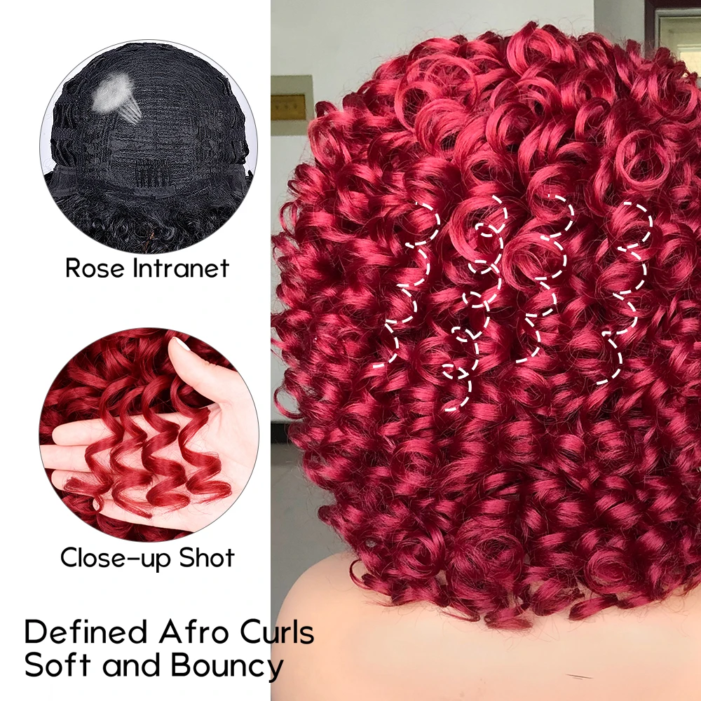 Curly Afro Wigs for Black Women Short Curly Wig with Bangs Kinky Curls Curly Hair Synthetic Wigs for African American Women