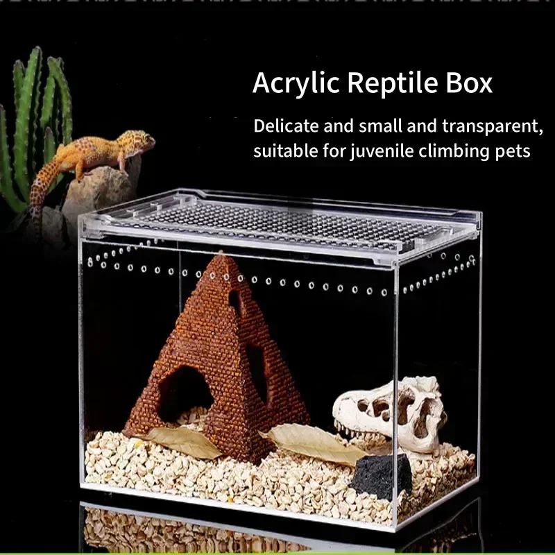 Reptile Habitat Terrarium Breeding Box Transparent Acrylic Leak-proof Cage Spider Lizard Scorpion Habitat Insect Feeding Box