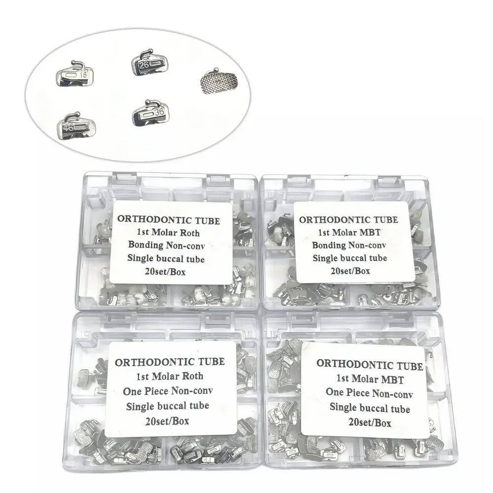 Dental Orthodontic …