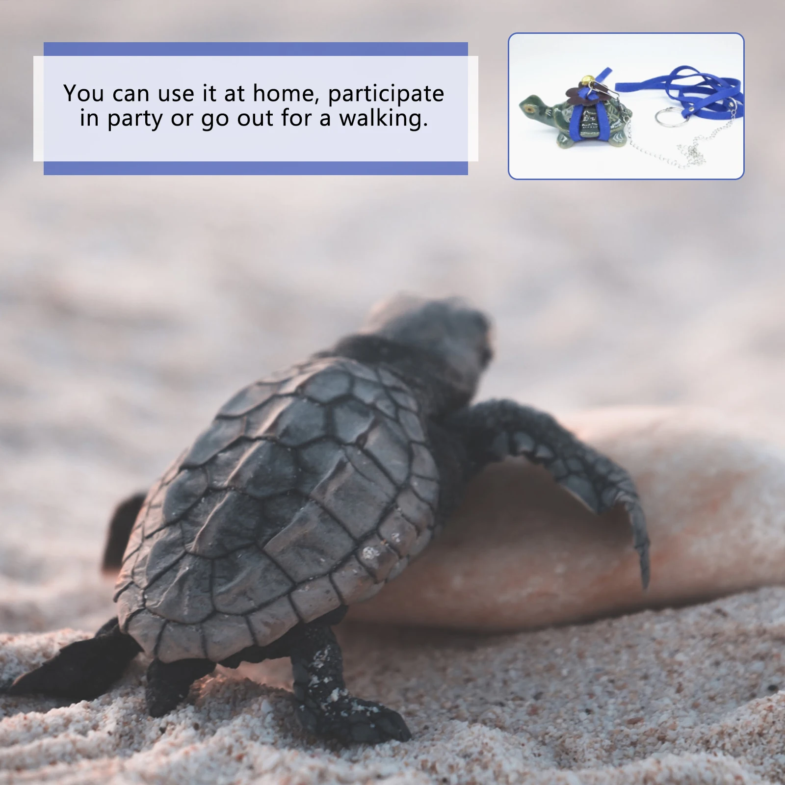 

Turtle Traction Vest Pet Pulling Rope Gecko Hauling Tortoise Korean Walking Leash Travel