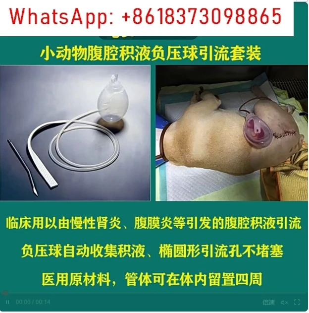 

Pet cat dog dog peritoneal effusion drainage tube Small animal negative pressure drainage ball set Puncture needle be indwelled