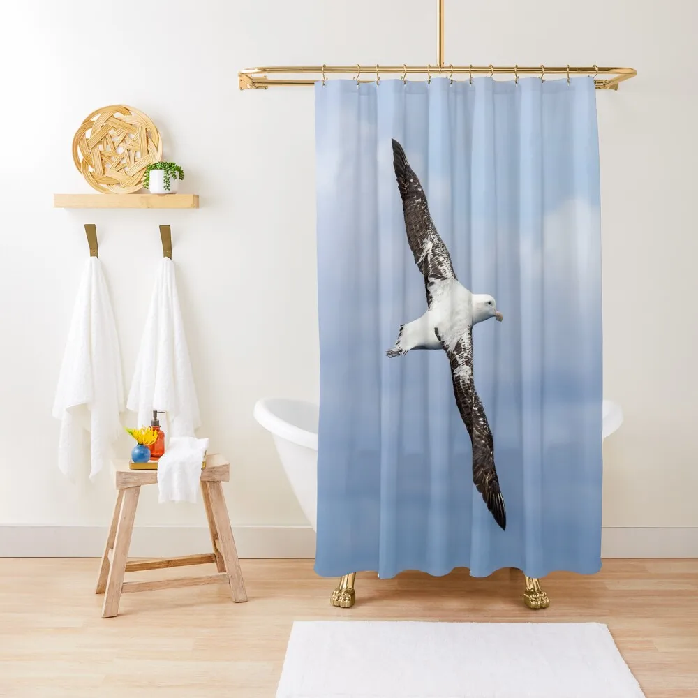 

Wandering Albatross Shower Curtain For Bathrooms For Bathroom Bathroom Accessory Shower Bathroom Curtain