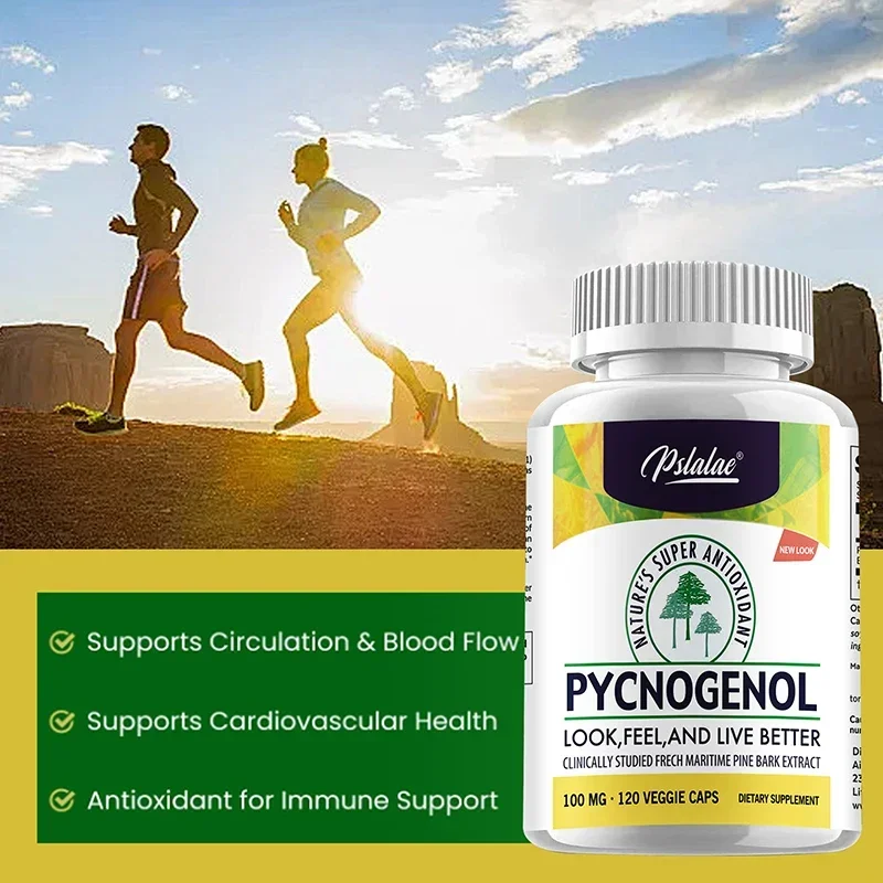 مكمل Pycnogenol - يعزز الدورة الدموية، ودعم صحة القلب والأوعية الدموية، ومضاد للأكسدة