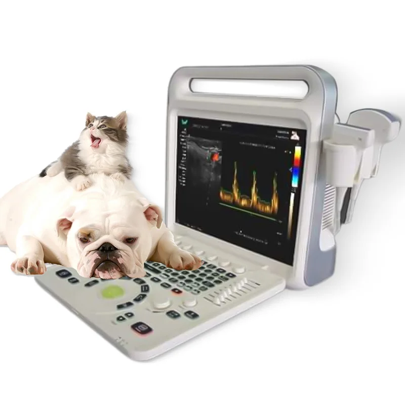 Portable Scans Farm Animals Pets Veterinary Color Doppler Ultrasound With Imaging System Solutions