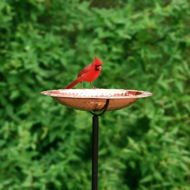 BBG bird bath, small, copper