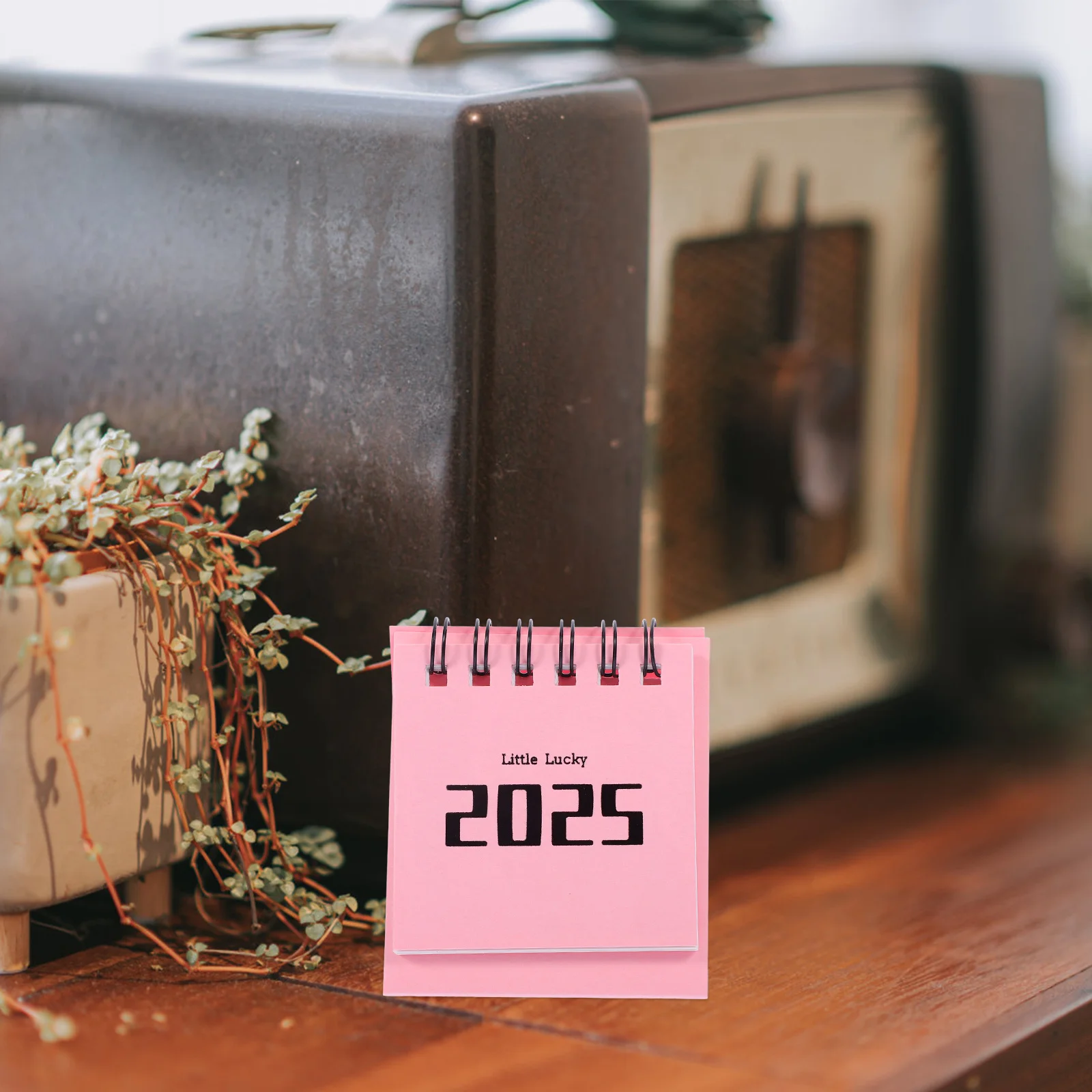 

Mini Desk Stand Calendar Adorable Small Planner Desktop Academic Daily Ornaments Calendars