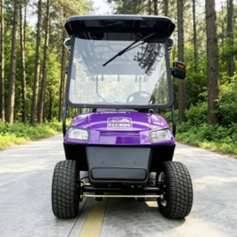 CE 2 Seater Long Range Golf Cart Club Lithium Electric Golf Cart With Golf Bag Rack And Basket Sand Box Rain Cover
