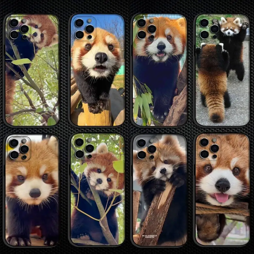 

Cute red panda Phone Case For iPhone 16,15,14,13,12,11 Plus,Pro Max, Others Soft Black Cover