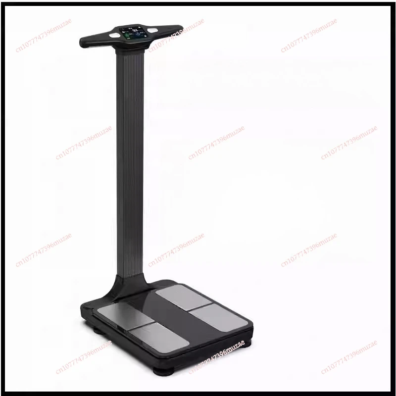 Body Composition Meter Pro is cost-effective, data-rich items, gym body analysis, intelligent body scale