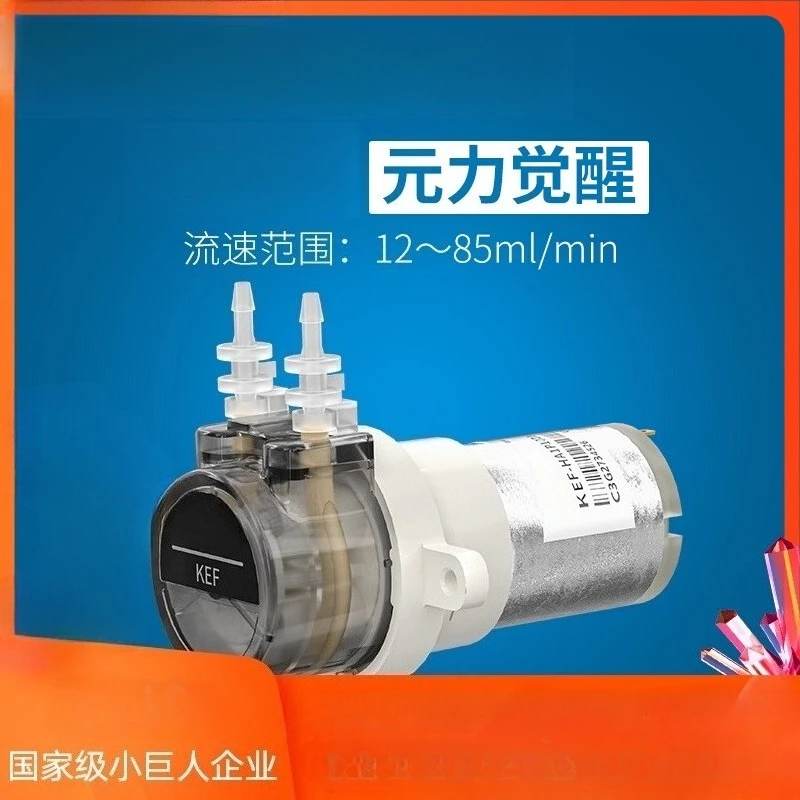 12v Micro Pump Electric Circulation Pump 24v Pump Head Motor Laboratory KEF Pumping