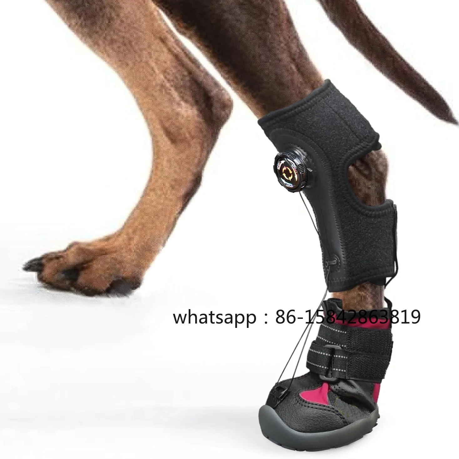 Pet Shoes Are Anti-dirty and Wear-resistant. Hard-soled Dog Shoes Are Breathable and Cannot Be Thrown Off. Pet Dog Shoes
