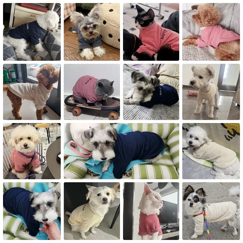 Fashion Dog Clothes for Small Dog Hoodies Cute Letter Pattern Dog Shirt Pet Bottoming Shirt Soft Puppy Pullover Autumn Cat Shirt