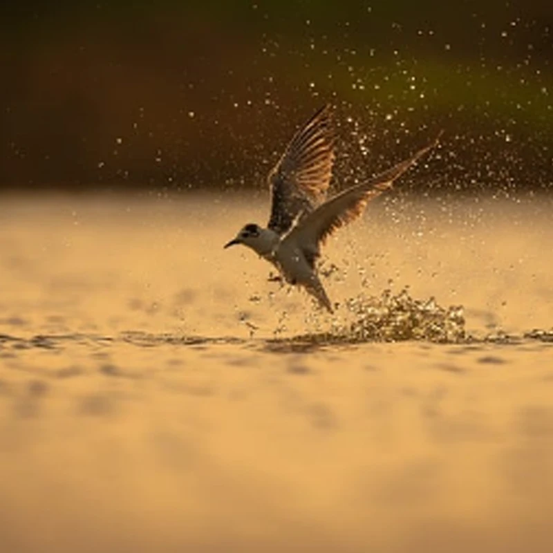 

Сумка-подушка для поясницы / для аккумулятора HGLRC для рюкзака для FPV-дрона